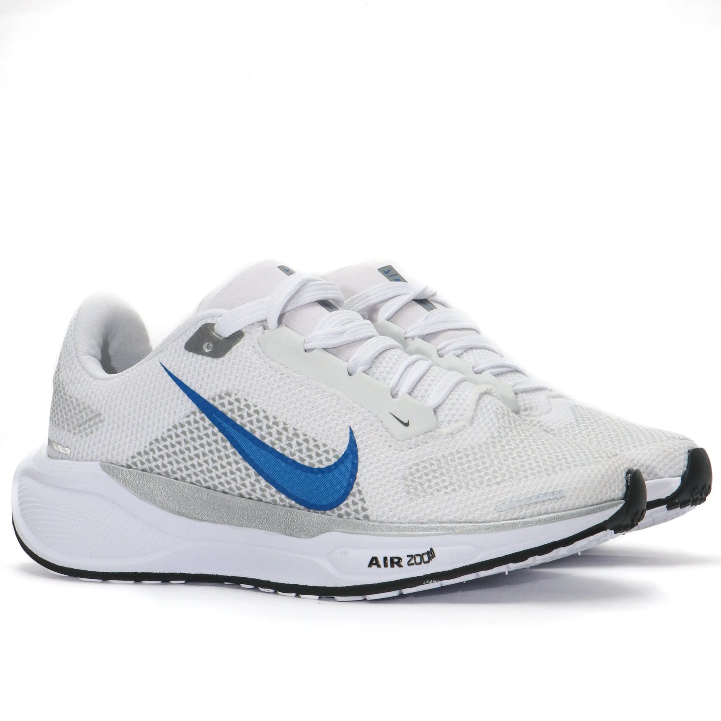 Nike Pegasus An14